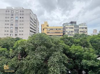 信義安和國揚綠蔭4房｜坡道平面車位可另租 120,000 元/月 