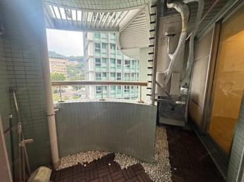 信義香榭美緻兩房 3100萬