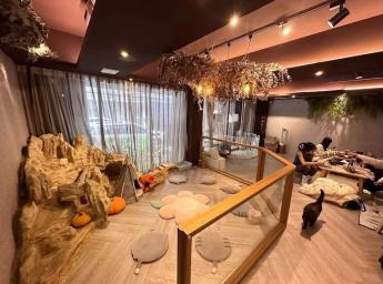 永康街 東門捷運站 店面頂讓 月租 146,000 元 頂讓金額：120 萬元